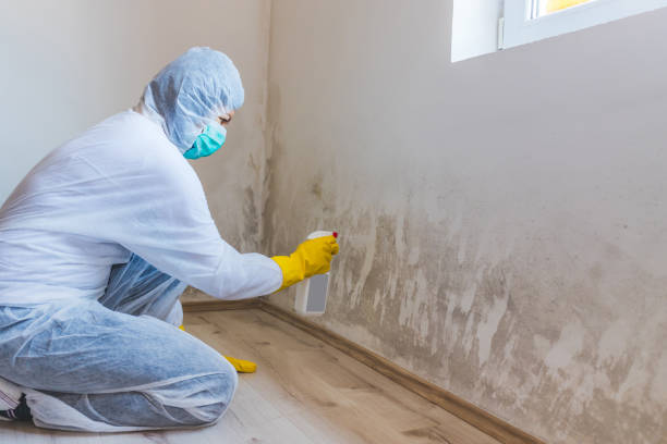 Licensed Commercial Mold Remediation service in Montvale, NJ - WQB Mold Removal