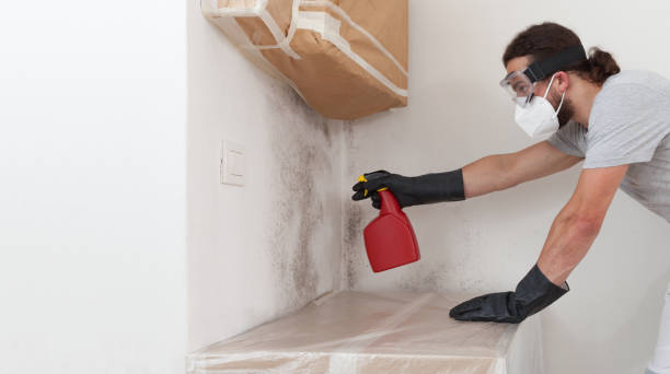 Professional Commercial Mold Remediation technician working in Montvale, NJ