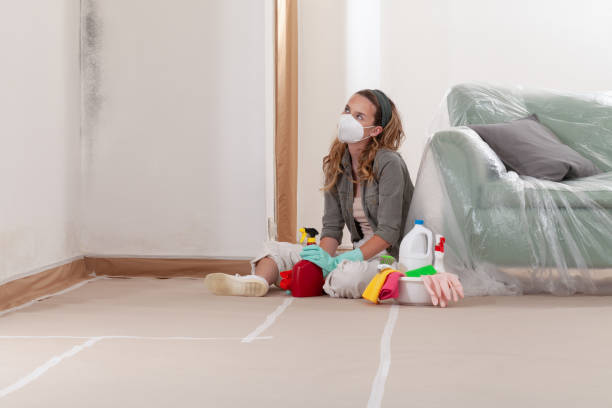 Reliable Commercial Mold Remediation contractor in Montvale, NJ by WQB Mold Removal